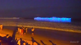 Bioluminescent waves is a natural phenomenon that causes the to glow
neon blue. it's caused by an algae blooms called "red tide." you can
currently...