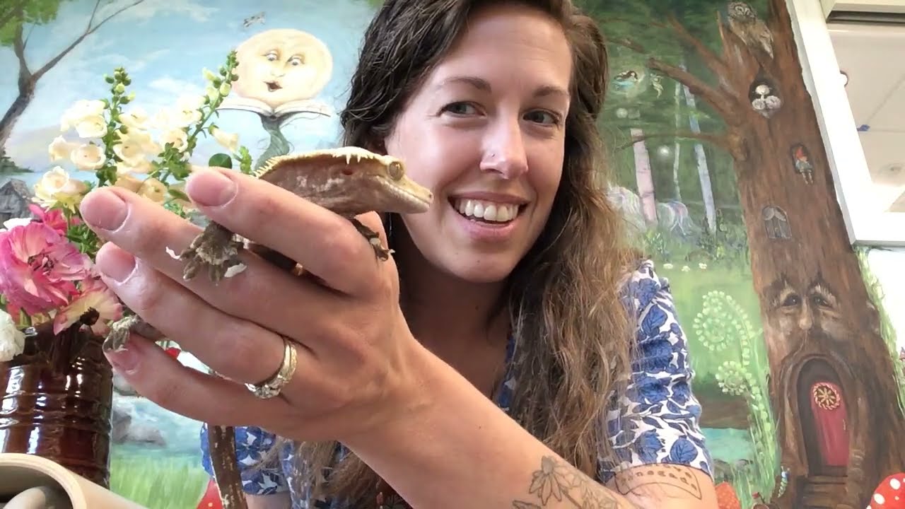 Summer Reading 2024 at Jonathan Trumbull Library