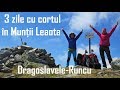 MUNȚII LEAOTA - De la Dragoslavele la Runcu, peste vârfurile Cioara, Râiosu și Leaota