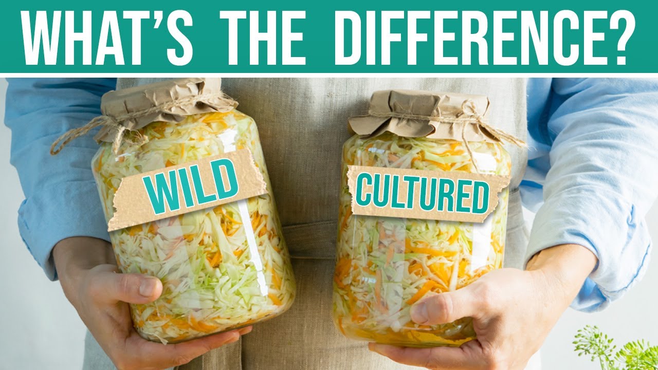 WILD FERMENTATION vs CULTURED:  What's the Difference?