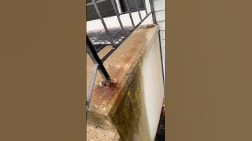 "From Rust to Robust:Restoring Broken Railings to Like-New Condition" #welder #railings #shorts #yes