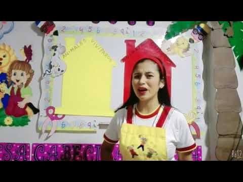 ANIMALES VIVÍPAROS Y OVÍPAROS - YouTube