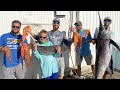 HARPOON PULLED OUT! Deep Sea Bottom Fish (Catch Clean Cook)