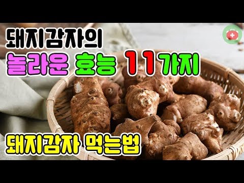 엑스트라버진올리브오일 추천