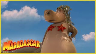 DreamWorks Madagascar en Español Latino | Mejores momentos de Gloria | Madagascar