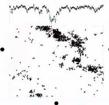 Intermittent Dynamics in Vicsek Model Simulation
