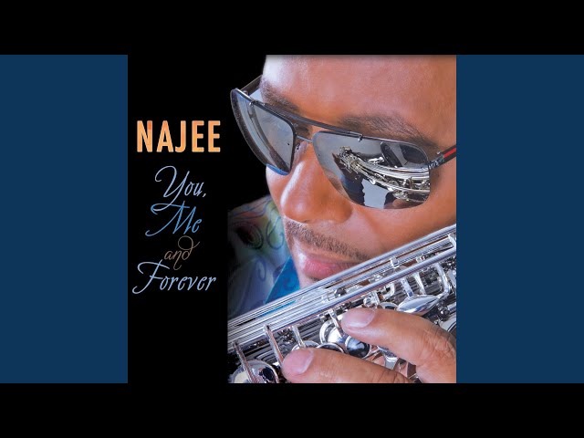 Najee - Fly With the Wind