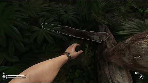 Green Hell [Switch/PS4/XOne/PC] Tutorial #01: Basic Survival