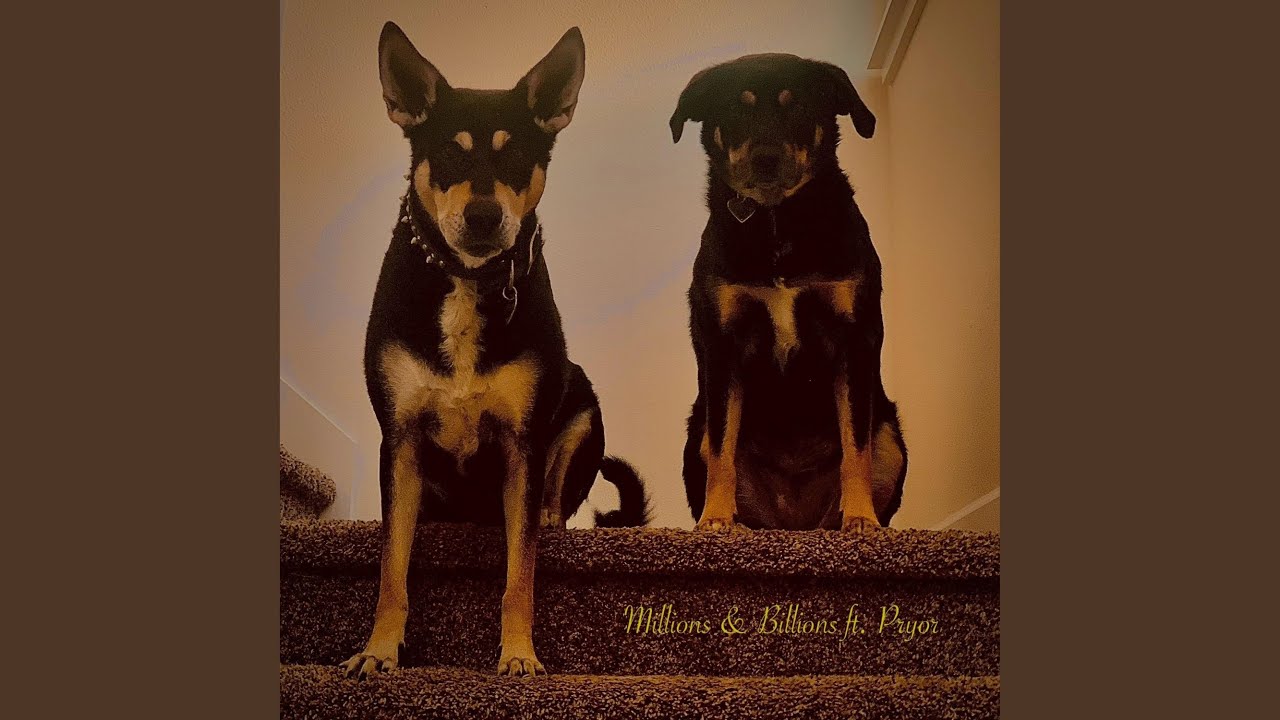Millions & Billions (feat. Pryor)