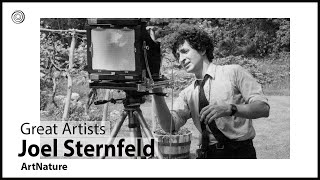 Joel Sternfeld | Great Artists | Video by Mubarak Atmata | ArtNature