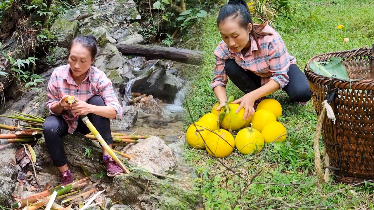 Harvesting Fresh Bamboo Shoots & Juicy Grapefruit | Early Morning Farm Trip to Local Market