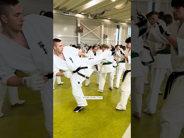Baltic Fighting Camp 2026 #kyokushin #shinkyokushin #karate #1kyokushin #一極真 #極真会館
