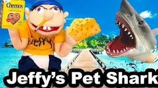 Jeffys Pet Shark