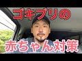 ゴキブリの赤ちゃんが出た場合の対策方法【虫嫌い】