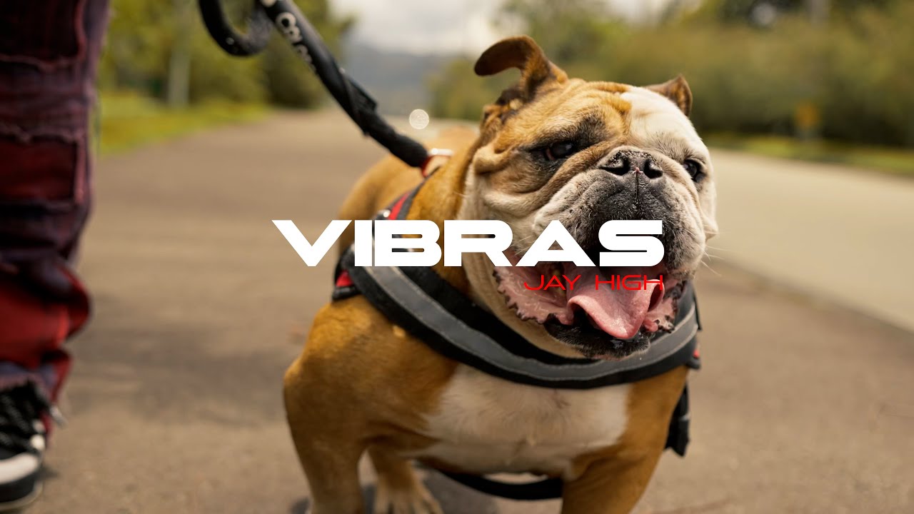 Guarda Jay High - Vibras (Visualizer) THE REDMEN su YouTube Guarda Jay High - Vibras (Visualizer) THE REDMEN su YouTube