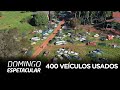 Maior colecionador de carros do Paraná tem 400 veículos usados
