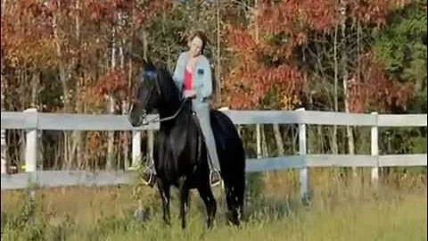 Simply Irresistible Mark: 13 Year Old Tennessee Wa...