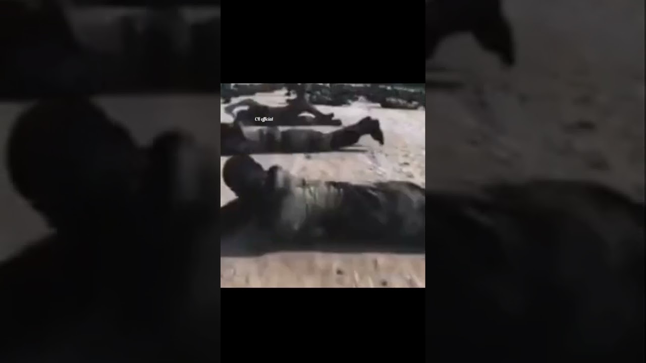 #slmilitaryfan_NewVideo