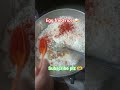 వేడి వేడి ఎగ్ ఫ్రైడ్ రైస్ /easy egg fried rice 🍛😋#shorts #cooking