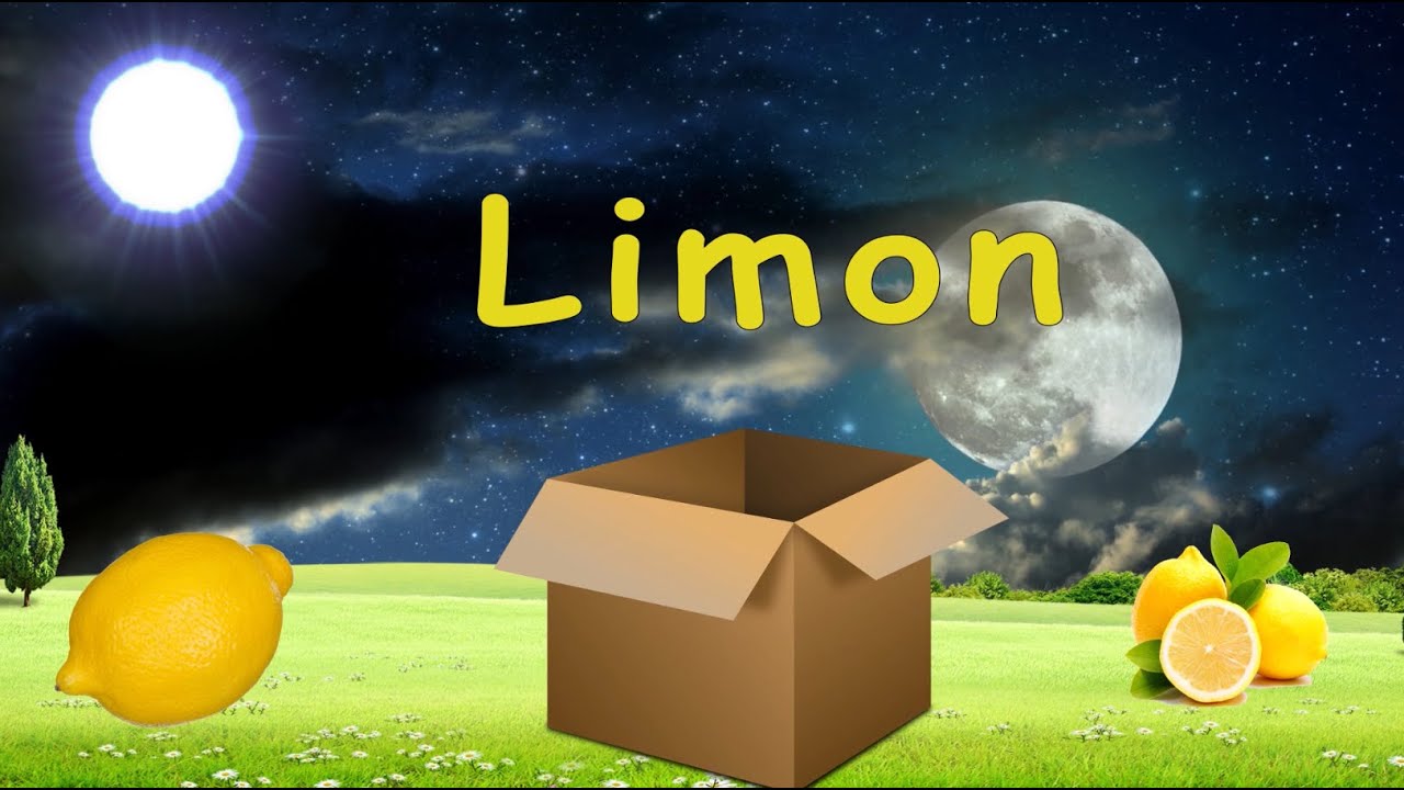 L Harfi Kelimeleri | ABC Harfleri Öğreniyorum | Eğitici Çizgi Film