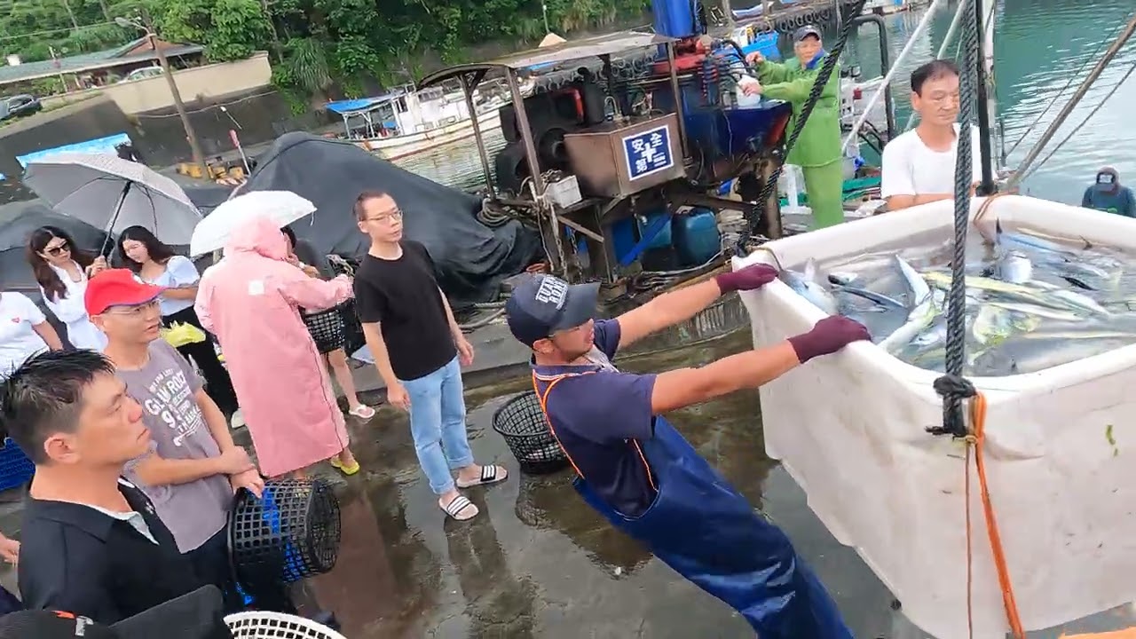 網友全跪了：這批貨太頂！太平洋的「海中霸王」與「子彈列車」一次到齊！ 光榮定置漁場 #freshfish