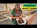 She Started a Maggot Farm in Nigeria