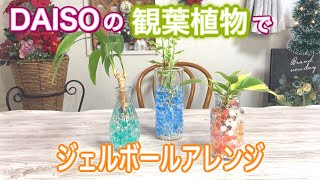 【DAISO雑貨】本物の観葉植物をオシャレに飾る！カラージェルで室内でカラフルに楽しむ方法