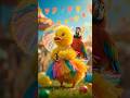 Duck on Ram Sam sam #ytshorts #shorts #funny #ducklingspro #funny #birds #cute