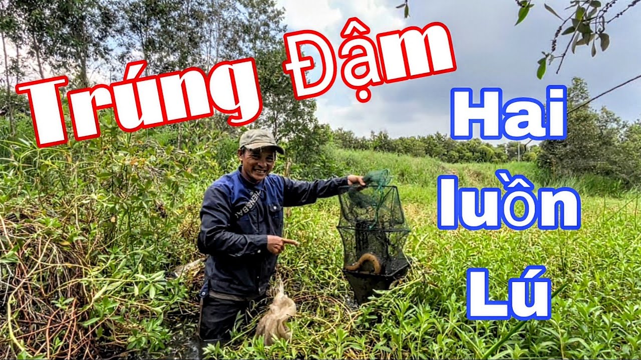 Thăm 2 Luồng Lú. Trúng Đậm Rắn, Cá Và Lương Khổng Lồ || Linh Quê Mình