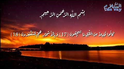 ما تيسر من سورة الذاريات..كانو قليلآ من الليل ما يهجعون. بصوت القارئ أنس الشهاب.