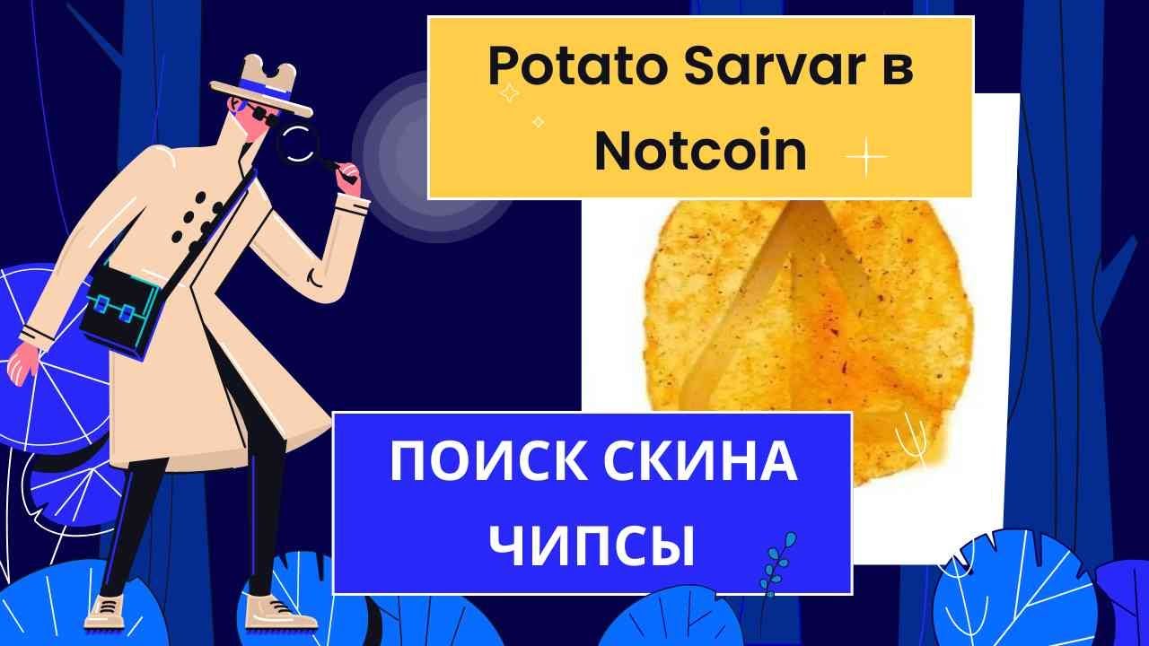 Potato Sarvar в Notcoin | Ищу скин чипсины или дату листинга НОТКОИН?