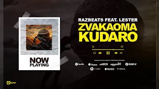 Razbeats Ft. Lester - Zvakaoma Kudaro (Visualizer)