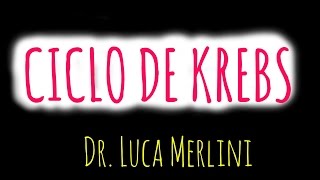 Ciclo de Krebs