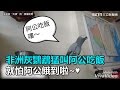 非洲灰鸚鵡猛叫阿公吃飯　就怕阿公餓到啦~♥｜三立新聞網SETN.com