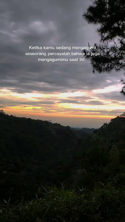 ketika kamu sedang mengagumi seseorang  #kata #status #story #shorts