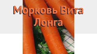 Морковь обыкновенный Вита Лонга (vita longa) ? обзор: как сажать, семена моркови Вита Лонга - Видео от Лафа - дачное счастье