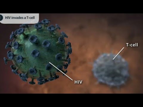 AIDS : Human Immunodeficiency Syndrome | Learn through animated videos ...