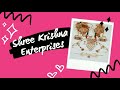 Shree krishna enterprises  introduction