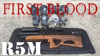 Download Lagu Matador R5M - First Blood MP3