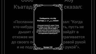 Бухари (153). #бухари #хадис #ислам #сунна