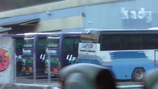 Llaneza autobuses