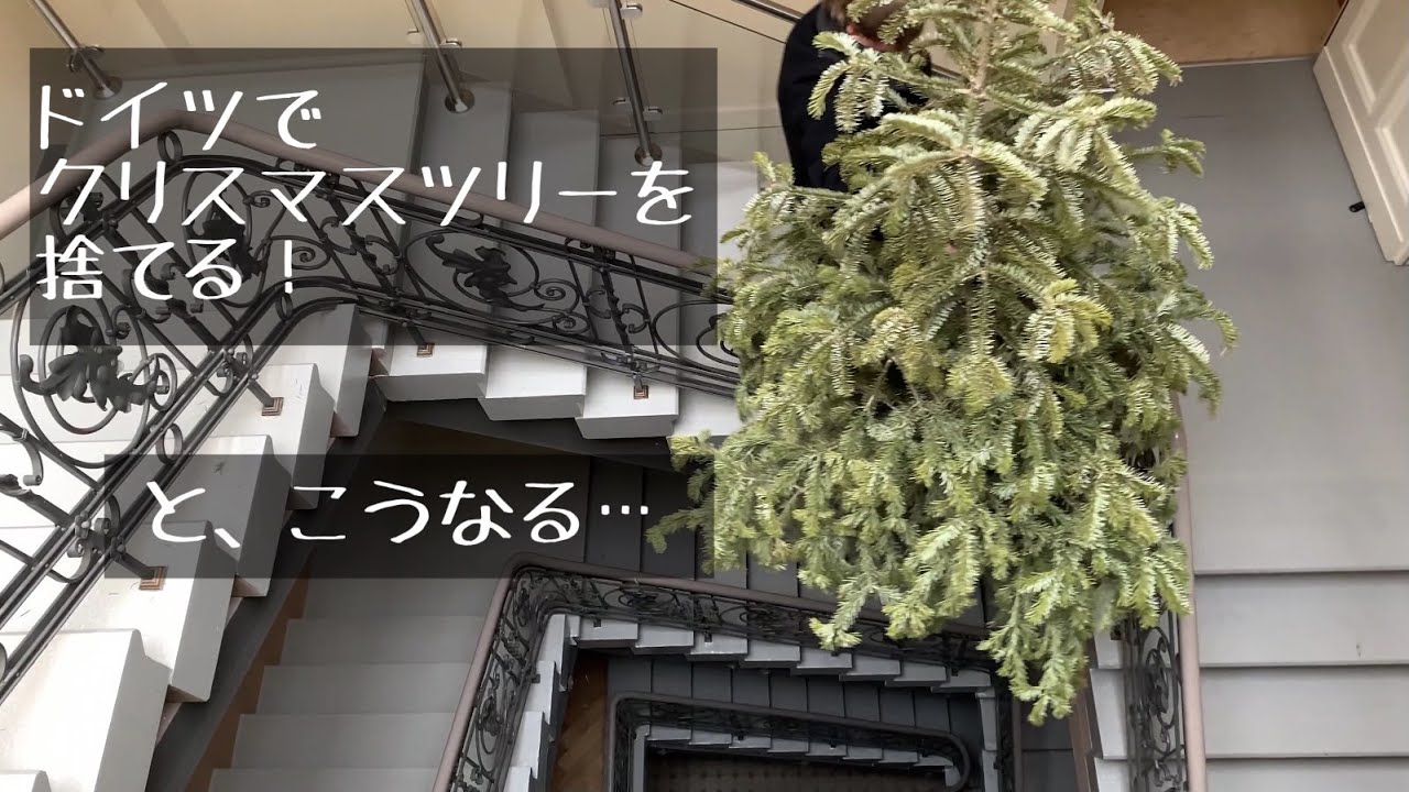 ドイツでクリスマスツリー を捨てる Weihnachtsbaum Wegwerfen Youtube