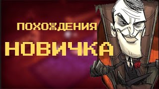 НОВИЧОК В DON'T STARVE TOGETHER