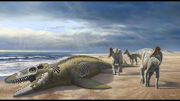 An African Radiation of Duckbill Dinosaurs