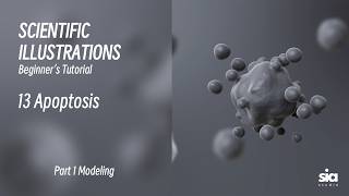 Beginner C4D Tutorial for Scientific Visualization | 3D Modeling Guide | 13 Apoptosis News