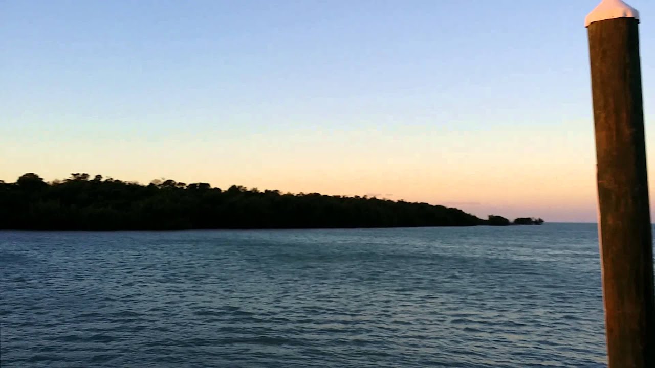 Good morning from Marathon Marina Fuel Dock YouTube