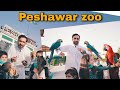 Peshawar zoo aw mashomano sara eisakhan orakzai 2021 new