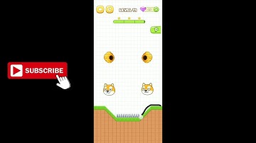 Save The Pets Level 11