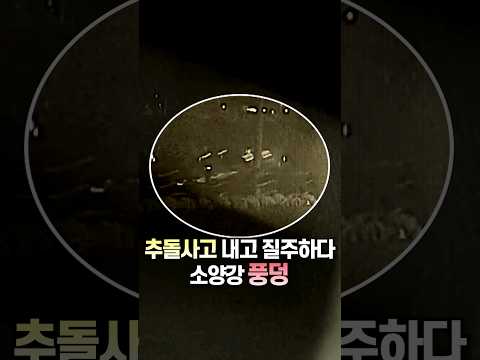 추돌사고 내고 <strong>질주하다</strong> 소양강 ‘풍덩’ / #채널A #shorts