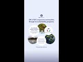 Embracing SM's commitment to championing sustainable communities.